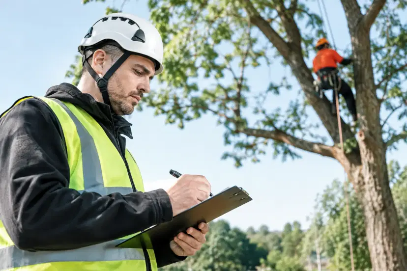 Emergency Response Reviews for Safer Tree Work